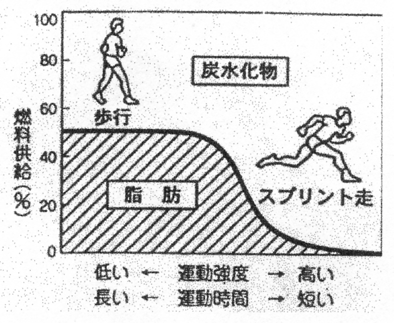 運動生理学とバテない方法 １ 運動生理学 運動と身体の仕組み 1 1はじめに 1 内容の基本 医学的知識ではなく運動生理学 体力科学 健康科学を中心に どうしたら良い成績 楽に 健康的に さまざま意味で登山を よりよく行う