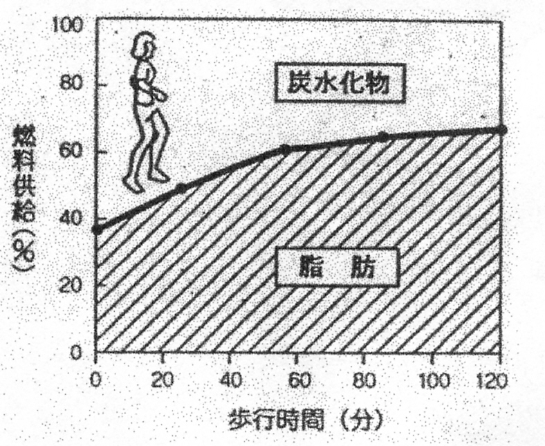 運動生理学とバテない方法 １ 運動生理学 運動と身体の仕組み 1 1はじめに 1 内容の基本 医学的知識ではなく運動生理学 体力科学 健康科学を中心に どうしたら良い成績 楽に 健康的に さまざま意味で登山を よりよく行う